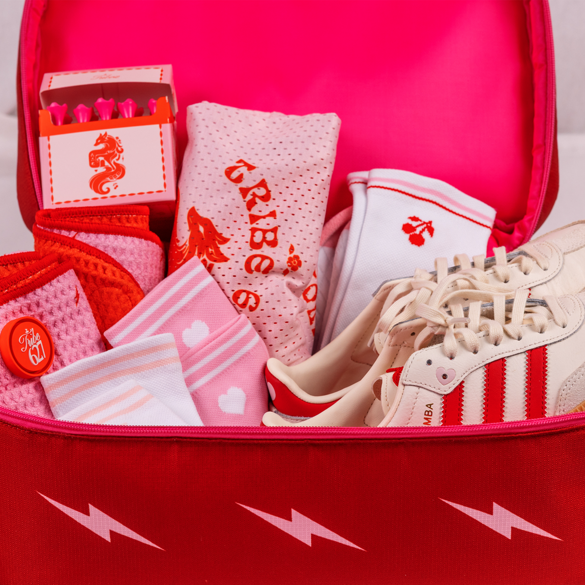 Cherry Shoe Bag