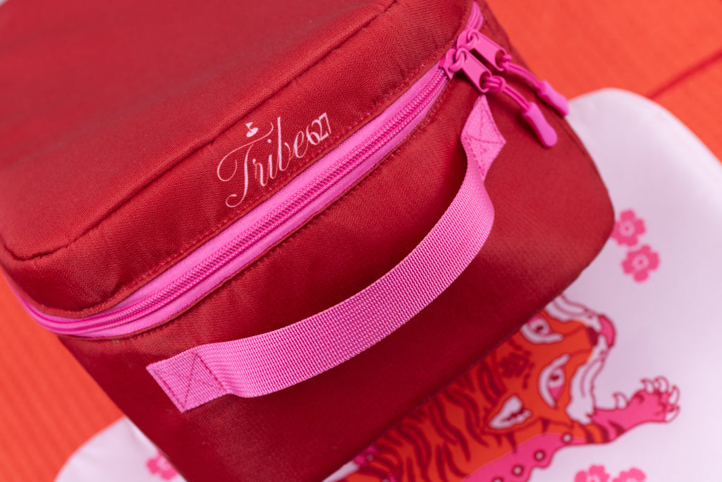 Cherry Shoe Bag